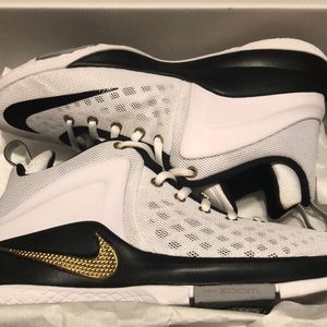 Nike Lebron witness shoes